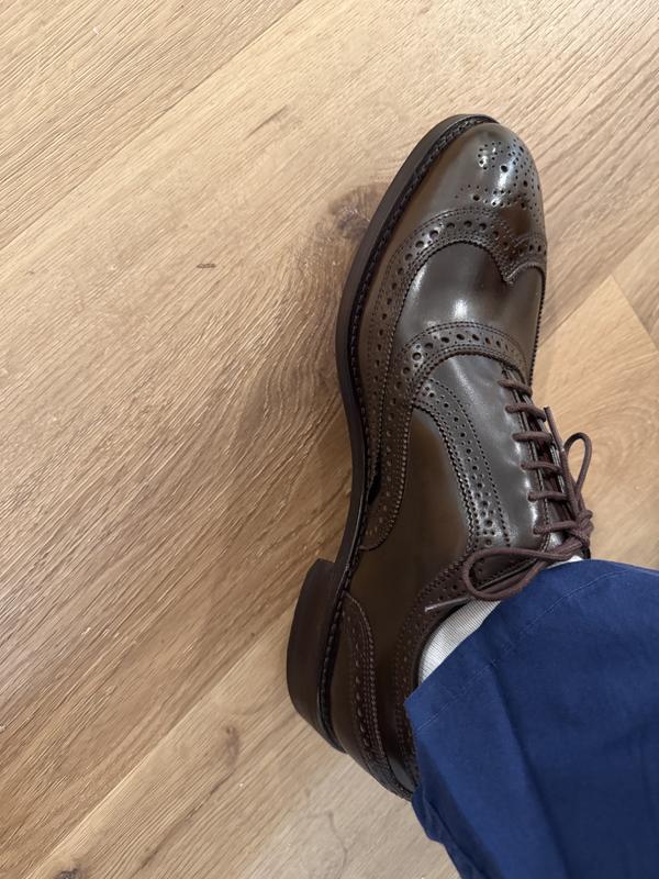Cambridge Shell Cordovan Wingtip Dress Shoe | Men's Dress | Allen