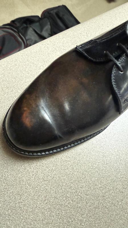 【コードバン】Allen Edmonds Leeds (US6.5E) Leeds Shell Cordovan Derby Dress Shoe | Men's Dress | Allen Edmonds