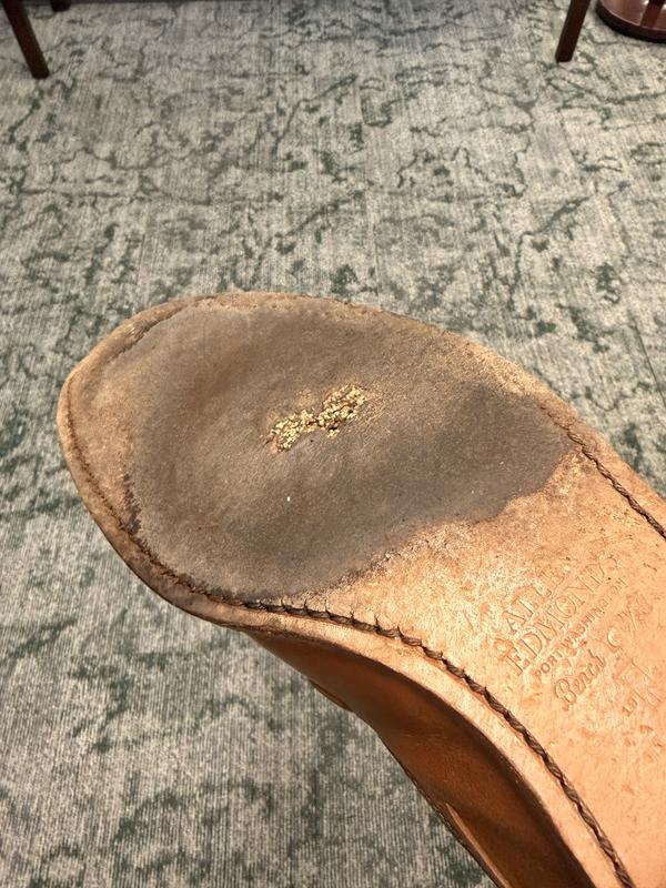 Review Thumbnail Image 0 296272453