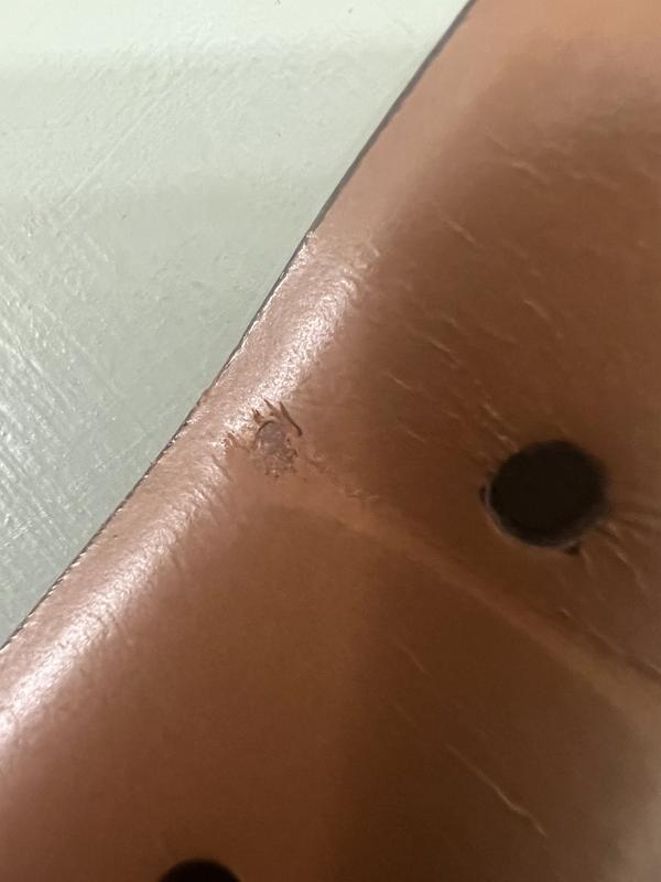 Customer photo for "Disappointed"