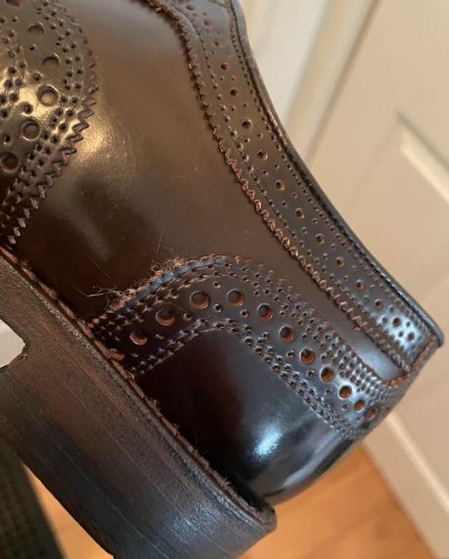 Cambridge Shell Cordovan Wingtip Dress Shoe | Men's Dress