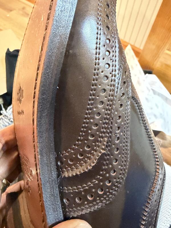 Cambridge Shell Cordovan Wingtip Dress Shoe | Men display picture 1
