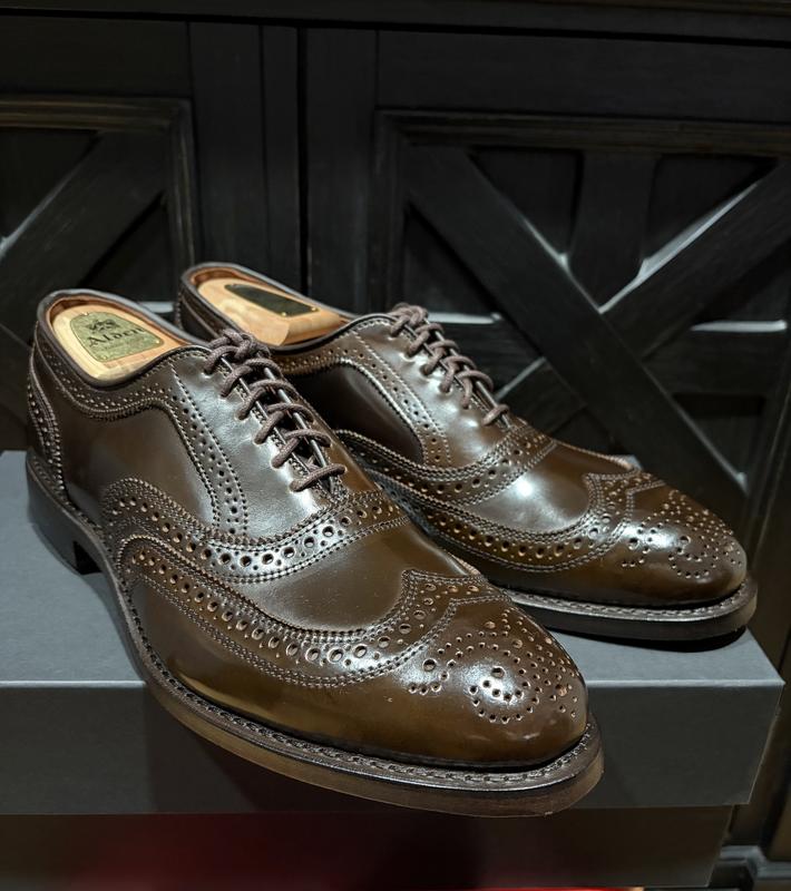 Cambridge Shell Cordovan Wingtip Dress Shoe | Men's Dress | Allen