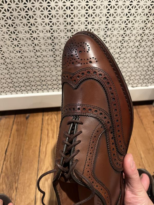 McAllister Wingtip Oxford Dress Shoe | Men's Dress | Allen