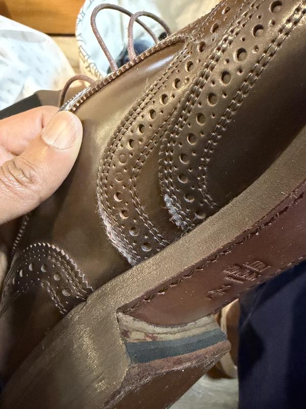 Cambridge Shell Cordovan Wingtip Dress Shoe | Men's Dress | Allen