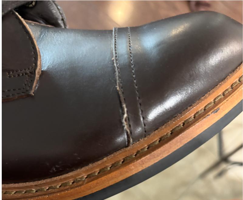 Review Thumbnail Image 0 299568238