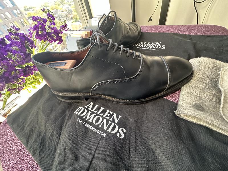 靴 Allen Edmonds Park Avenue 5805 Codevan Park Avenue Shell Cordovan Cap-toe Oxford Dress Shoe | Men's Dress