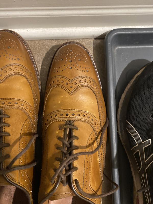 McAllister Wingtip Oxford Dress Shoe | Men's Dress | Allen Edmonds