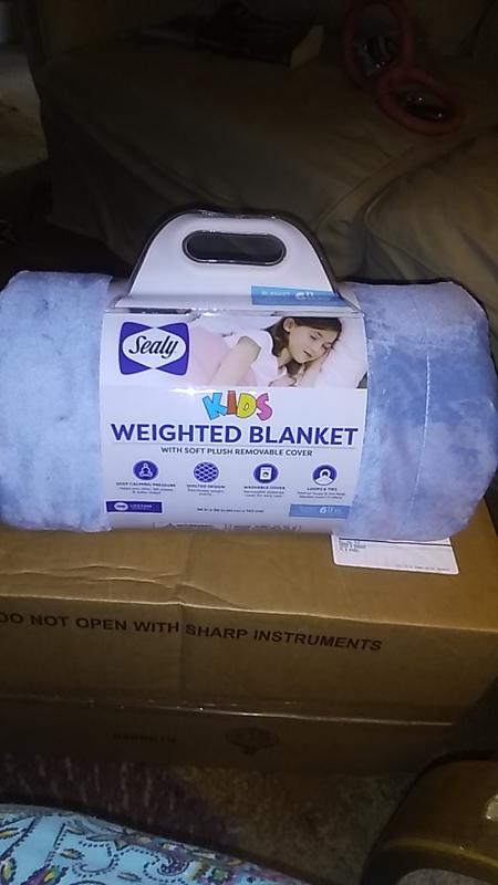 Sealy weighted blanket with plush removable cover sale