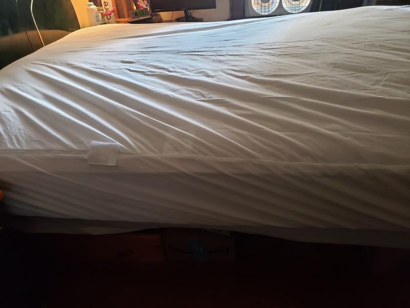 Customer carousel item 12.