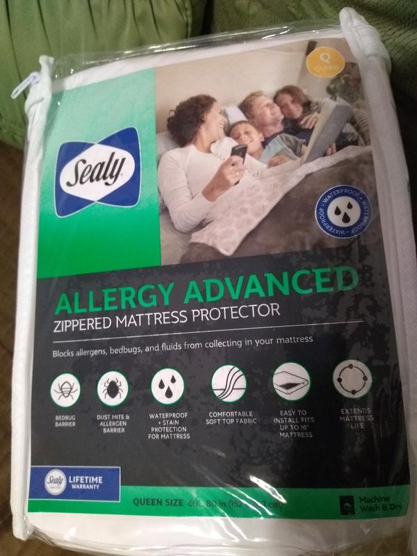 Sealy allergy hotsell advanced pillow