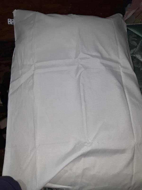 A pillow inside of the Sealy Cotton Touch Pillow Protector