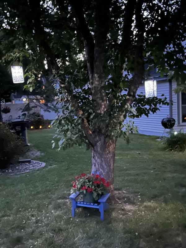 Photo from Lory M.