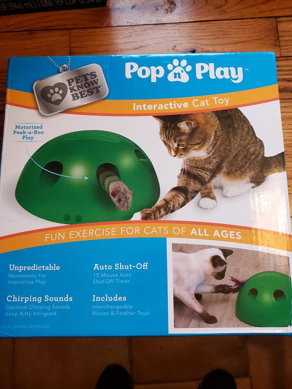 Pop and play cat toy reviews hotsell