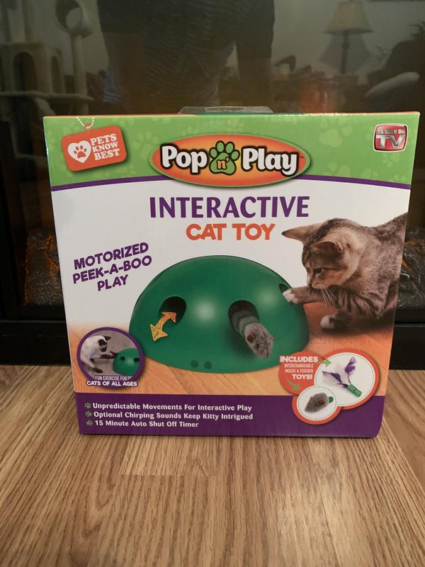 Pop and play outlet cat toy reviews