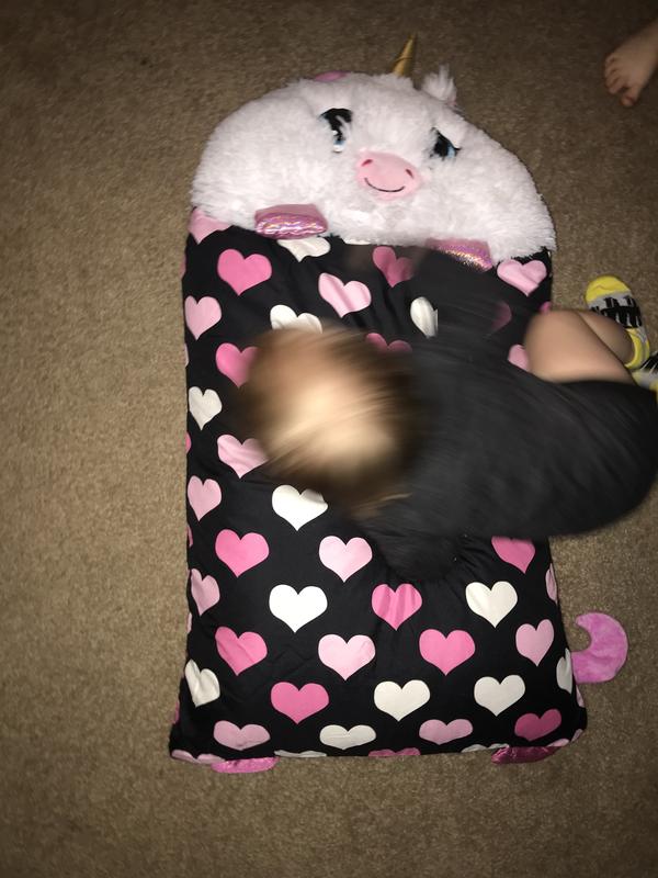 Fluffaluff pillow pet!