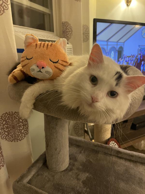 Photo - commentaire&nbsp;1.