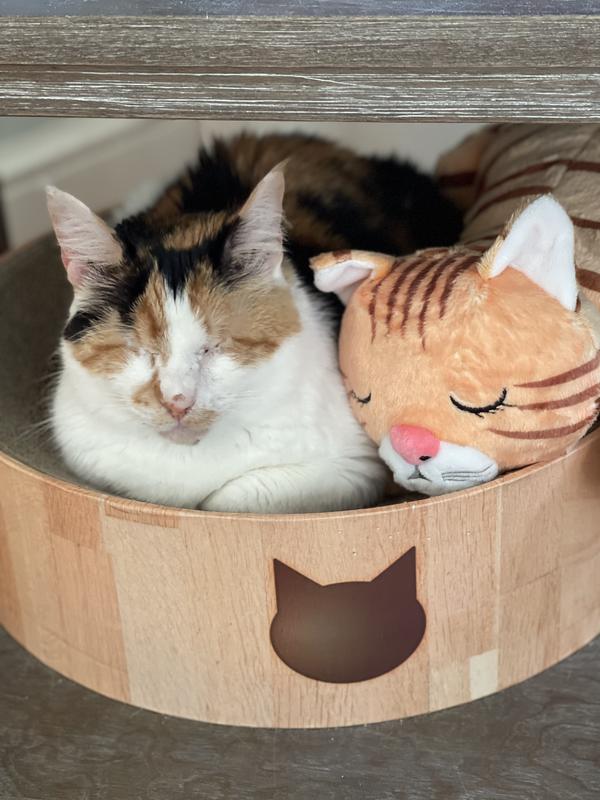 Photo - commentaire&nbsp;2.