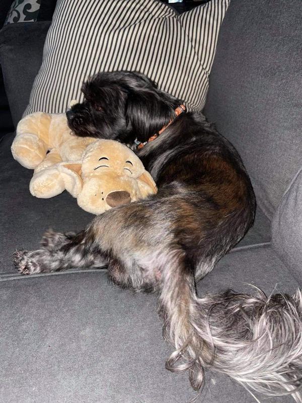 His new favorite toy