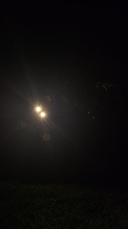 Review photo 5.