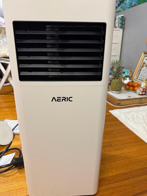 Aeric 5000 BTU (DOE) 115-Volt Vented Medium Room Portable Air ...