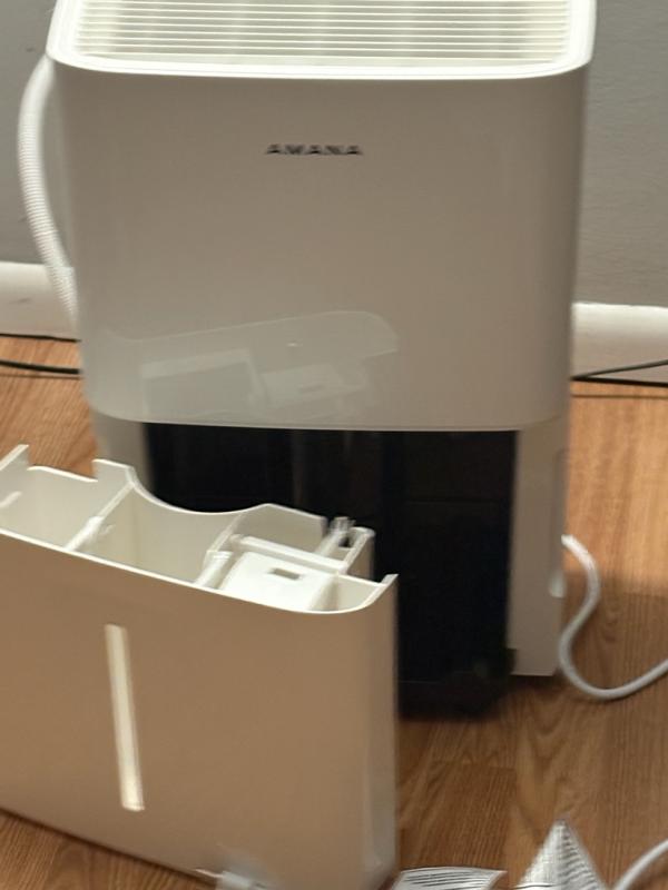 Review photo 5.