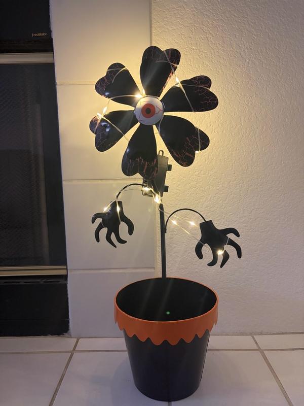 Review photo 2.