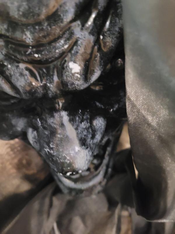 Review photo 6.