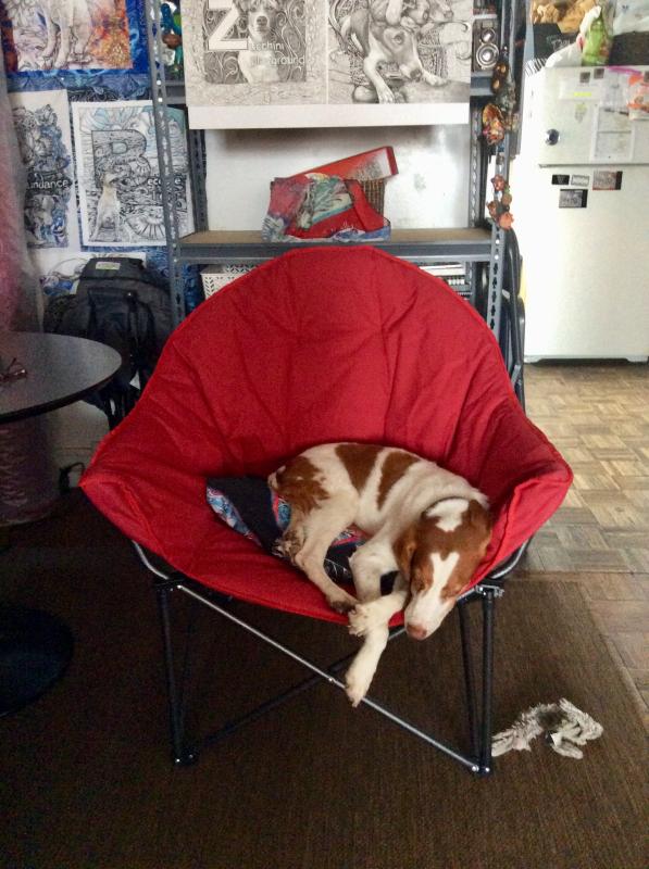 Dog moon outlet chair