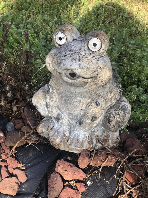 Alpine Corporation 10-in H x 8-in W Gray Frog Garden Statue at