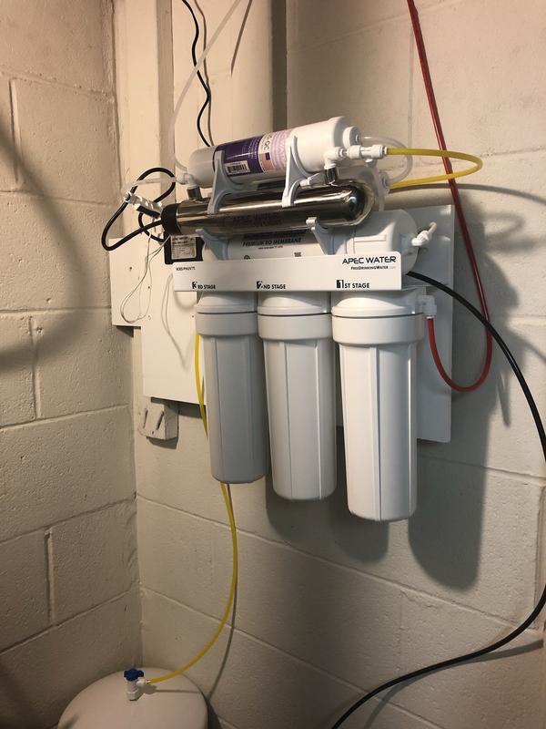 Basement mounding below kitchen sink upstairs.