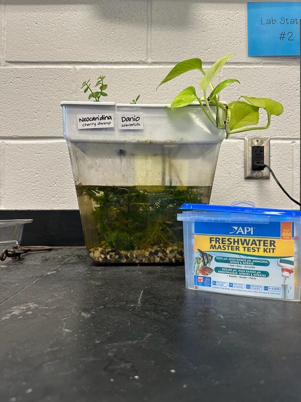 API FRESHWATER TEST KIT – Petsense
