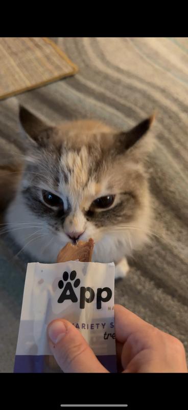 catslove