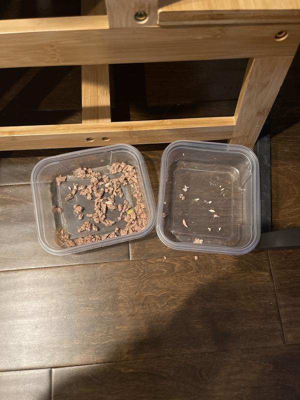 Fancy feast on the left, applaws on the right.