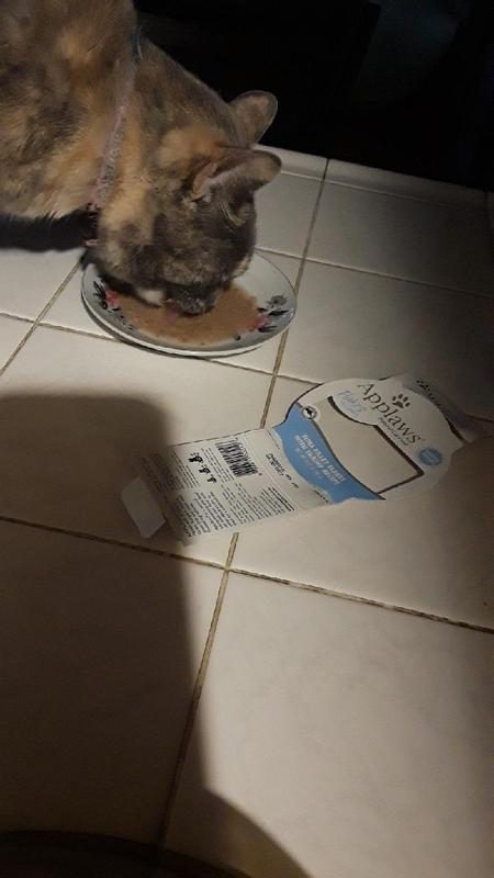 Happy Cat. Shrimp and tuna