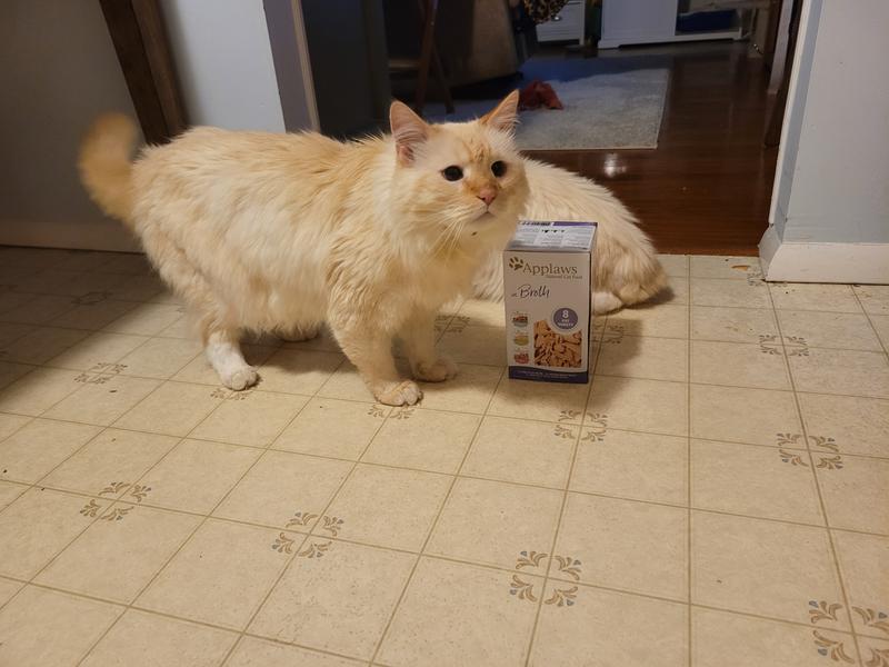 Bart and tiny
