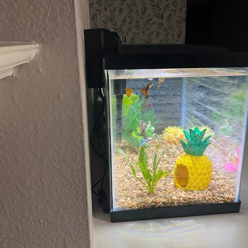 Fluval Stratum Peceras Para Peces Con Luz Y Filtro Aqueon 10