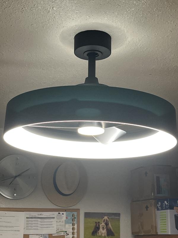 Austin 23 in. LED modern Matte Black ceiling in Matte Black | Artika