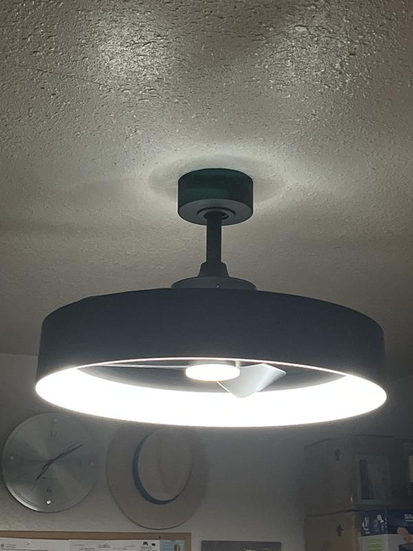 Austin 23 in. LED modern Matte Black ceiling in Matte Black | Artika