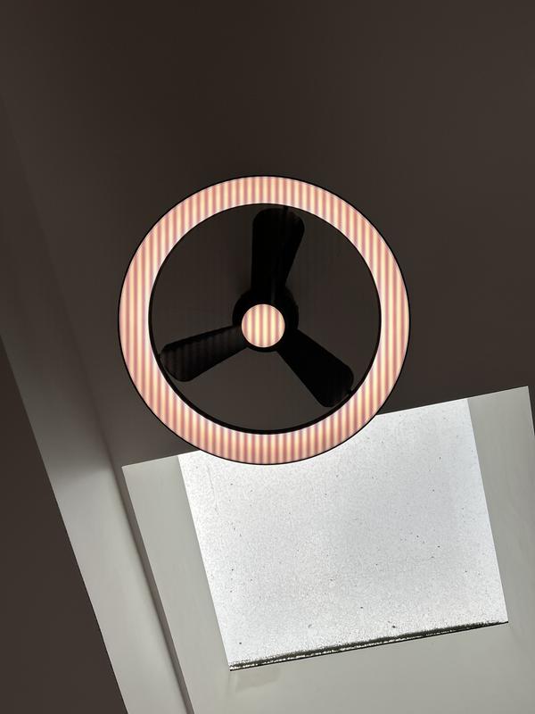 Austin 23 in. Fandelier Ceiling Fan with Light | Artika