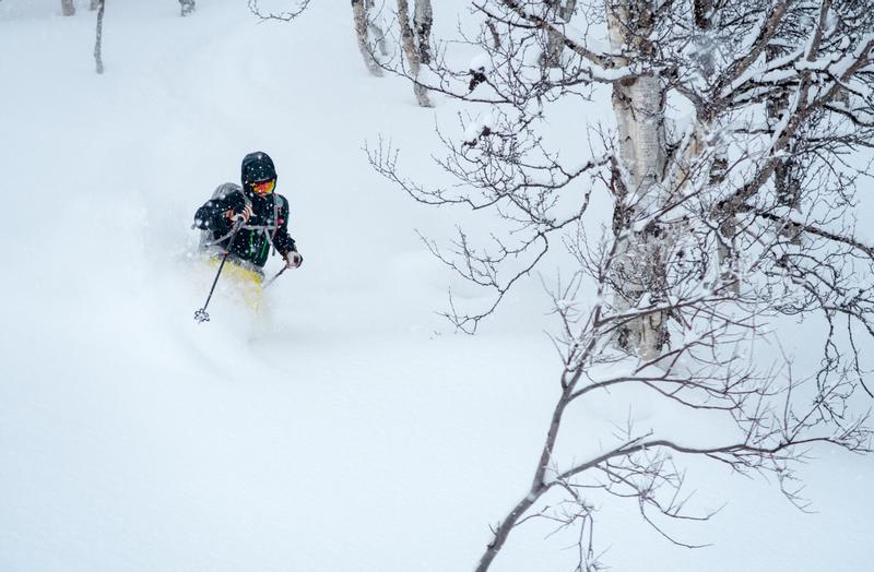 Arc'teryx Men's Alpha SV Ski Jacket - Powder7