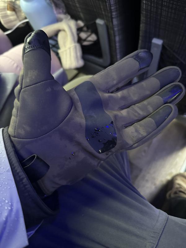 Venta Glove | Arc'teryx