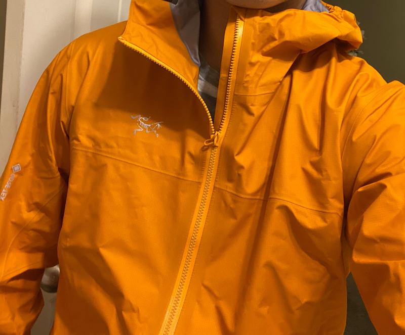 代引不可代引不可アークテリクス Norvan LT Hoody マウンテンパーカー