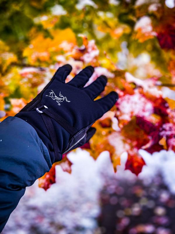 Arcteryx shop alpha gloves