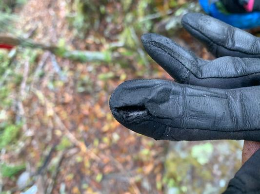 Arcteryx shop alpha glove