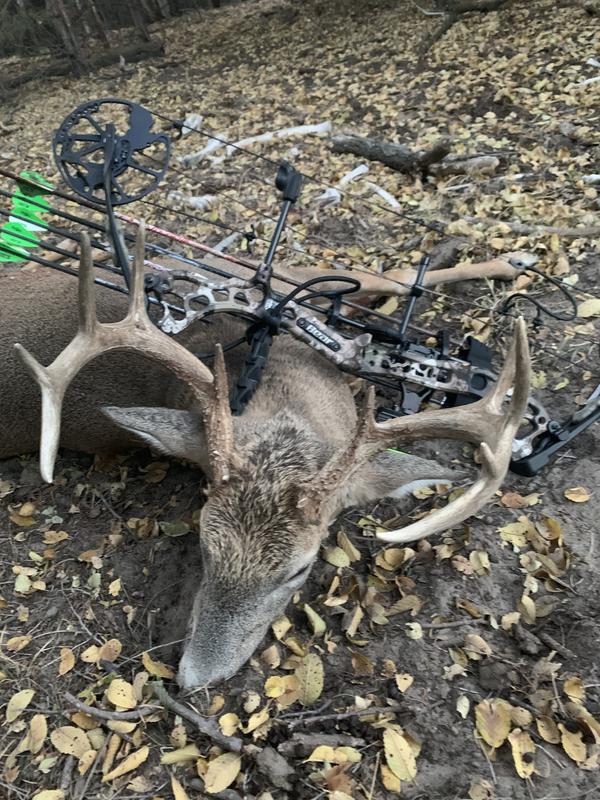 My spot and stalk buck