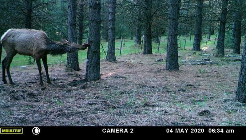 Photo - commentaire&nbsp;3.