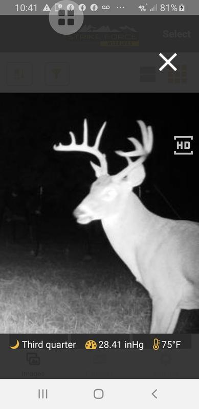 Tinks 69 does it scare deer more than attract deer