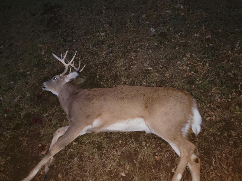 Dec 2021 Iowa 2nd Shotgun Season