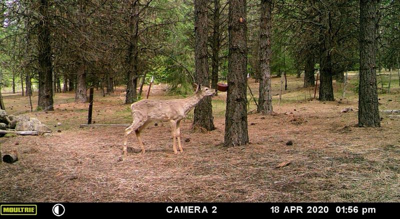 Photo - commentaire&nbsp;4.